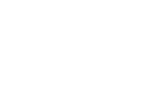 logo_usta_wt